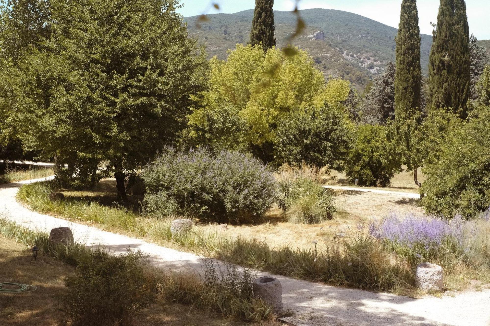 Le Galinier Lourmarin, A Beaumier Guesthouse Pokoj fotografie